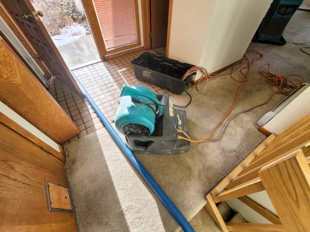 Best Ceiling water damage repair  in Duquesne, MO