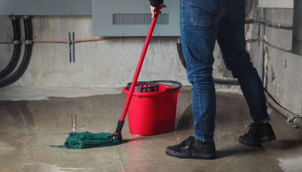 Best Residential water damage restoration  in Duquesne, MO
