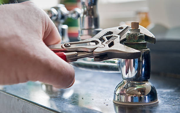 Best Flood damage cleanup  in Duquesne, MO