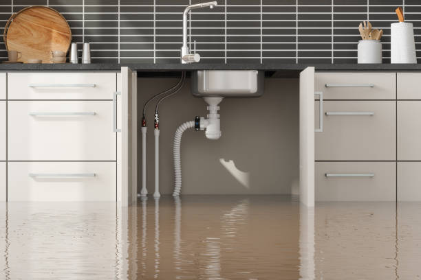 Best Water damage restoration near me  in Duquesne, MO