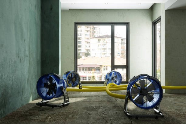 Best Emergency water damage restoration  in Duquesne, MO